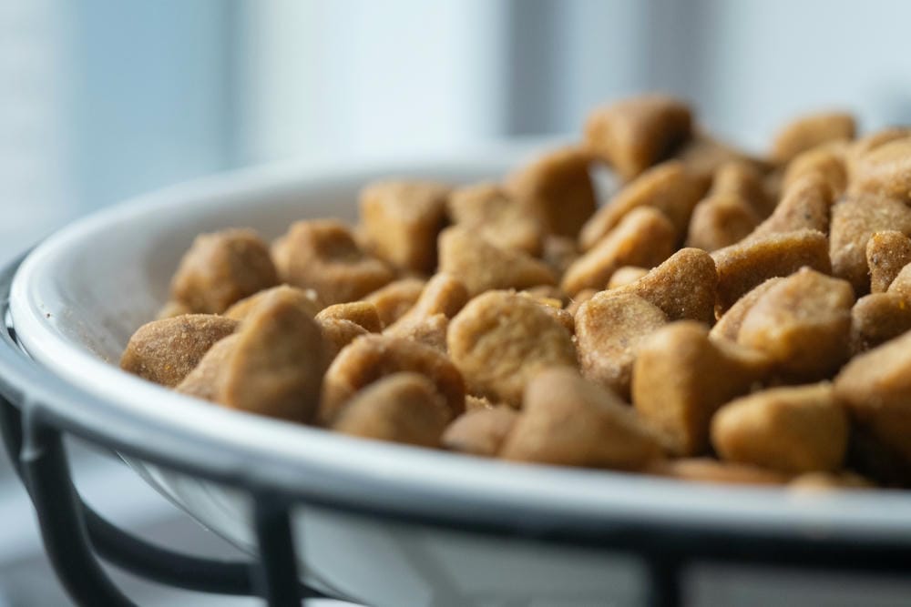 غذای خشک گربه با طعم مرغ ۲ کیلوگرمی